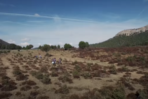 Μαθήματα ζωής από τον ανεπανάληπτο Eνιο Μορικόνε