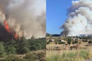 "Στείλτε τώρα εναέρια μέσα, έχουν καεί τα πάντα": Καταγγελία αγωνίας από δημάρχους για τη φωτιά στην Αττική - εικόνα 2