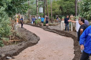 Ιανός - Σοκαριστική διάσωση: Είχαν ανέβει στις μπάλες από το τριφύλλι για να σωθούν  [εικόνες]