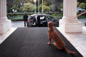 Η πρώτη guest εμφάνιση του πρωθυπουργικού Πίνατ: Στη συνάντηση Μητσοτάκη - Αναστασιάδη [εικόνες] - εικόνα 3