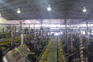 Κορονοϊός - Ξενογιαννακοπούλου: Η μονάδα παραγωγής στα Γιαννιτσά έχει μετατραπεί σε υγειονομική βόμβα