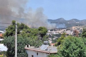 Εύβοια: Φωτιά κοντά σε σπίτια και επιχειρήσεις στην κοινότητα Λεπούρων Αλιβερίου [εικόνες] - εικόνα 3