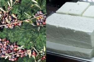 Ελαιόλαδο: Αντικλεπτικά σε μπουκάλια στα σούπερ μάρκετ - Μαζεύουν τις ελιές με... σεκιούριτι και περιπολίες [Βίντεο] - εικόνα 2