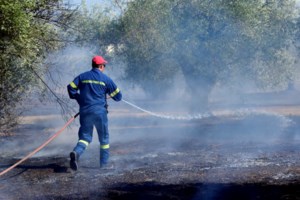 Φωτιά στη Σαλαμίνα: Κινητοποιήθηκαν επίγειες και εναέριες δυνάμεις