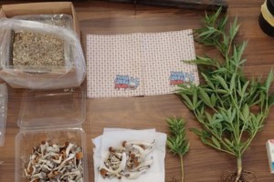 Ηγουμενίτσα: Χειροπέδες σε 33χρονο οδηγό φορτηγού που μετέφερε μισό κιλό "skunk"- Τα ξετρύπωσε σκύλος Κ9 [βίντεο]