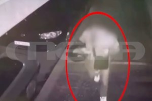 Φοινικούντα: Τα προφίλ των 22χρονων κατηγορούμενων - Ειδικές δυνάμεις, γυμναστήρια - Η συνάντηση λίγες ώρες πριν τη σύλληψη - εικόνα 3