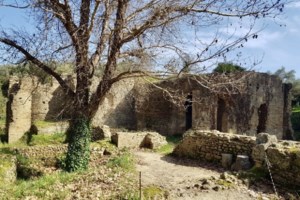 Τροποποίηση ωραρίου λειτουργίας αρχαιολογικών χώρων και μνημείων λόγω του ακραίου καύσωνα - εικόνα 2