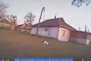 Ενα πανέμορφο θηλαστικό το μοναδικό άγριο αιλουροειδές στην Ελλάδα στη Λίμνη Κερκίνη - Εικόνες από τον αγριόγατο - εικόνα 2