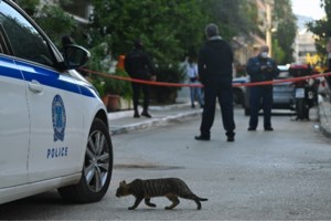 Περιστέρι: "Δεν ήθελα να τον σκοτώσω, ήταν η κακιά η ώρα"- Τι κατέθεσε ο πατροκτόνος στους αστυνομικούς- Πάντα δίπλα η μάνα του - εικόνα 5