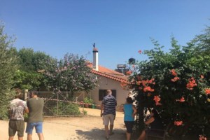 "Μαύρη χήρα": Τι είναι η δηλητηριώδης αράχνη και τι επιπλοκές προκαλεί το τσίμπημά της