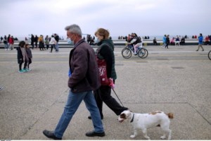 Υπουργείο Εργασίας: Ο "χάρτης" των πληρωμών από τον e-ΕΦΚΑ και τη ΔΥΠΑ έως τις 11 Νοεμβρίου