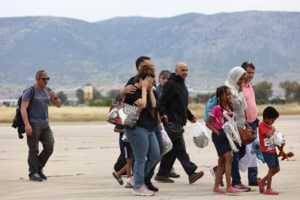 Φρίκη στον Βύρωνα: Άντρας βάζει πιτ μπουλ να ξεκοιλιάζει γάτες και τις πετάει στα σκουπίδια [βίντεο]