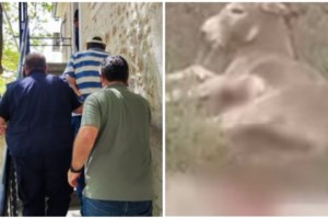 Φωτογραφία-ντοκουμέντο "καίει" τον αντιδήμαρχο Ζίτσας: Είχε δέσει το γαϊδουράκι πίσω από το αγροτικό και το έσερνε - εικόνα 2