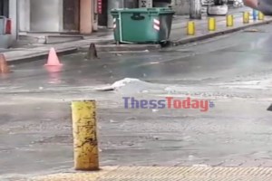 Συγκλονιστικές εικόνες: Οι προσπάθειες ανάσυρσης του 26χρονου από τον χείμαρρο - Βρέθηκε νεκρός σε ρέμα [Βίντεο] - εικόνα 2