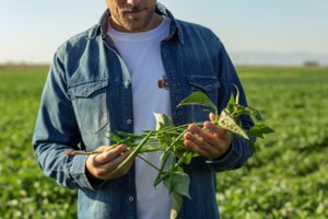 Μπάρμπα-Στάθης: Επενδύσεις έως και 30 εκατ. ευρώ μέχρι το 2030 - Ξεπερνά το μισό δισ. η συνεισφορά του στην οικονομία το διάστημα 2019-2023 - εικόνα 2