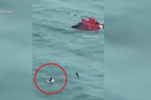 Φλόριντα: Εκατομμύρια πολίτες χωρίς ηλεκτρικό ρεύμα μετά το καταστροφικό πέρασμα του Μίλτον - Τουλάχιστον 16 νεκροί [εικόνες] - εικόνα 2