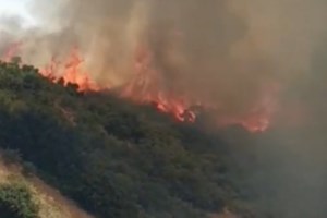 Λαμία: Στο νοσοκομείο ανήλικη μετά την κατανάλωση αλκοόλ - Συνελήφθη ο υπεύθυνος του μπαρ