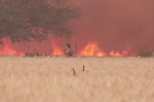 Ιστορικό ρεκόρ ζέστης στη Βρετανία: Η θερμοκρασία ξεπέρασε για πρώτη φορά τους 40 βαθμούς Κελσίου [Εικόνες] - εικόνα 4