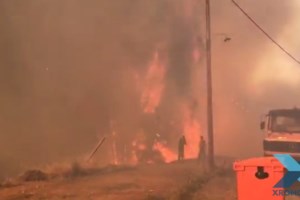 Υψηλός κίνδυνος πυρκαγιάς σε τέσσερις περιφέρειες -Σε συναγερμό η Πολιτική Προστασία - εικόνα 2