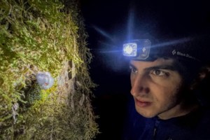 Καβάλα: Γιατί μια ελβετική εταιρεία πληροφορικής αποφάσισε να επενδύσει στην Καβάλα - εικόνα 2