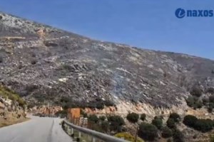 Φωτιά στη Φωκίδα: Καταγγέλλουν εμπρησμό οι κάτοικοι- "Είδαμε μηχανάκι να φεύγει και μετά ξεπήδησαν οι φλόγες" [Βίντεο] - εικόνα 4