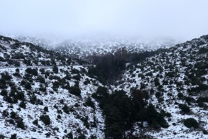 Κακοκαιρία Κάρμελ: Χιονιάς σε πολλές περιοχές της χώρας - Διακοπή κυκλοφορίας σε Πάρνηθα και Πεντέλη [Εικόνες - Βίντεο] - εικόνα 4