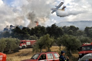 Τέμπη: Απίστευτο βίντεο με φλεγόμενο τροχόσπιτο - Από αυτό ξεκίνησε δασική πυρκαγιά- Πρόλαβε και το αποσύνδεσε ο οδηγός - εικόνα 2
