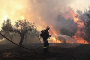 Φωτιά στις Κεχριές: Πληροφορίες για δέκα καμένα σπίτια, διάσπαρτες εστίες στην περιοχή [εικόνες] - εικόνα 2