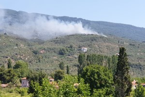 Η φωτιά στο Πήλιο ξεκίνησε από αυτοκίνητο που πήρε φωτιά λόγω βραχυκυκλώματος- Υπό έλεγχο το πύρινο μέτωπο