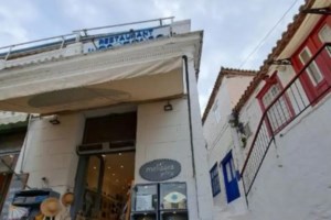 Πυροσβέστες διέσωσαν σκυλάκι που παγιδεύτηκε σε γκρεμό στον Υμηττό - Τους ευχαρίστησε με πολλές αγκαλιές [εικόνες - βίντεο]