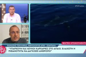 Η Ελλάδα της αυθαιρεσίας: Ο δήμος Σερίφου σφράγισε παράνομο beach bar της Λάσπα και αυτό... ξανάνοιξε - εικόνα 2