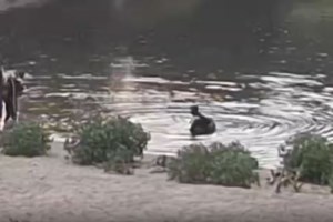 Σέρρες: Σε κρίσιμη κατάσταση 15χρονος μετά από τροχαίο – Οδηγούσε αυτοκίνητο με επιβάτες 3 παιδιά