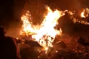 Φωτιά στη Σάμο: Καλύτερη η εικόνα της πυρκαγιάς - Δεν κινδυνεύει το ΚΥΤ [Εικόνες - Βίντεο] - εικόνα 5