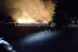 Συναγερμός για πυρκαγιές λόγω καύσωνα και ισχυρών ανέμων - 89 πτητικά μέσα πυρόσβεσης φέτος