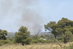 Φωτιά στην Αμοργό: Στις φλόγες δασική έκταση - Σηκώθηκαν τρία αεροπλάνα