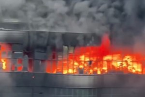 Κίνα: Οι πλημμύρες "απελευθέρωσαν" εκατοντάδες φίδια από φάρμες εκτροφής - Τρόμος μαζί με τον θρήνο για 38 νεκρούς