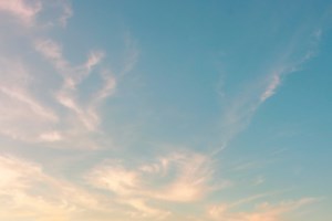 Έβρος: Η στιγμή που αστυνομικοί βρίσκουν μετανάστες κρυμμένους σε κρύπτη σε φορτηγάκι [βίντεο]