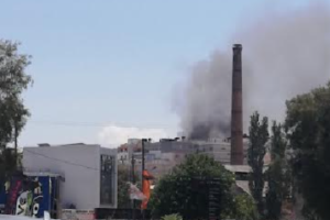 Φωτιά σε αγροτική έκταση στην Αργολίδα - Κοντά σε καταυλισμό Ρομά [εικόνες]