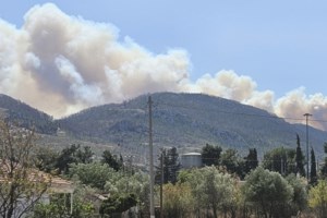 Φωτιά κοντά στα σύνορα Ελλάδας - Βόρειας Μακεδονίας - Έκλεισε το τελωνείο των Ευζώνων
