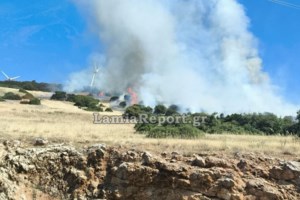 Φωτιά στη Λακωνία: Πύρινο μέτωπο στο Λευκόχωμα - Ήχησε το 112