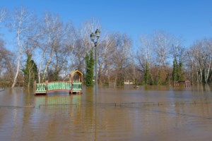 Κακοκαιρία στη Χαλκιδική: Απεγκλωβίστηκαν τουρίστες από ρέμα - Προβλήματα ηλεκτροδότησης σε οικισμούς - εικόνα 3