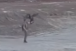 Το εκπληκτικό άλμα του αετού που άφησαν ελεύθερο στην Καισαριανή [βίντεο]