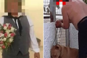 Κτηνωδία στα Χανιά: Σε διαθεσιμότητα ο υπάλληλος της ΔΕΗ που έκοψε τα γεννητικά όργανα του σκύλου - εικόνα 2