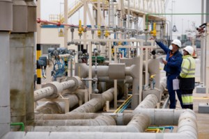 BBC: Η Ρωσία επιστράτευσε εκπαιδευμένα δελφίνια για να προστατεύσει το λιμάνι της Σεβαστούπολης στην Κριμαία - εικόνα 3