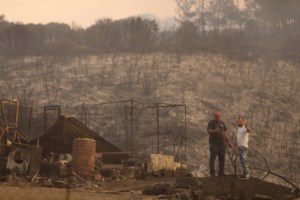 Έβρος: Βίντεο δείχνει διακινητές να περνούν μετανάστες μέσα από τα καμένα και να το διαφημίζουν στα social media