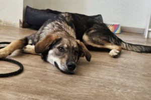 Η Κλο Κλο "απειλεί" την... αυτοδυναμία του Πίνατ στο Μαξίμου