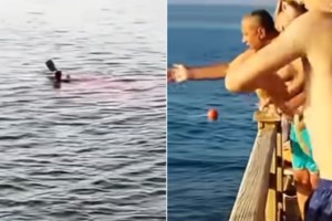 Καρχαρίας της Γροιλανδίας ξεβράστηκε στην Καραϊβική - Σοκ για τους επιστήμονες η "τροπική" βόλτα του άρχοντα των πάγων