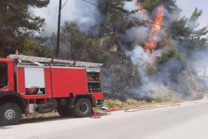 Με συντονισμένες ενέργειες έσβησε η φωτιά στο Αργάσι Ζακύνθου