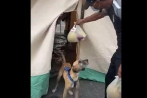 Σεισμός στην Κρήτη: Στις 1.784 οι μη κατοικήσιμες οικίες - εικόνα 2