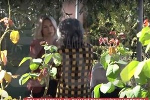 Θεσσαλονίκη: Στο εδώλιο καθηγητής Γυμνασίου- Παρενόχλησε σεξουαλικά εννέα μαθήτριές του - εικόνα 2